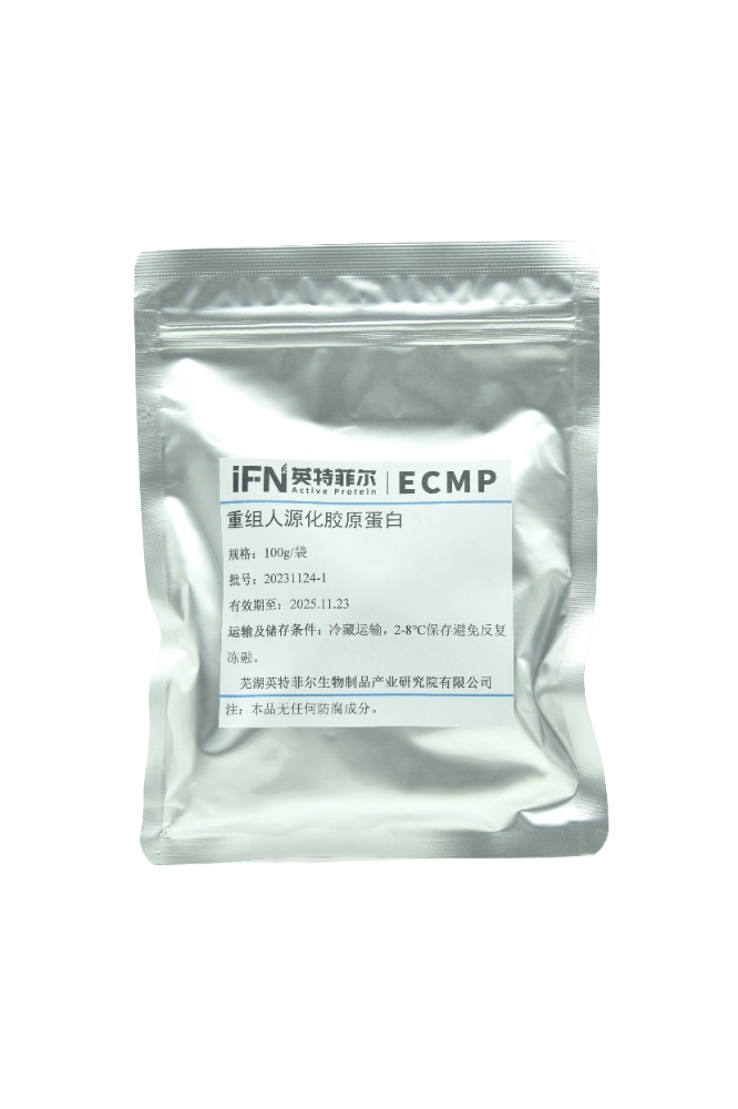Recombinant Humanized Collagen Protein (Powder)