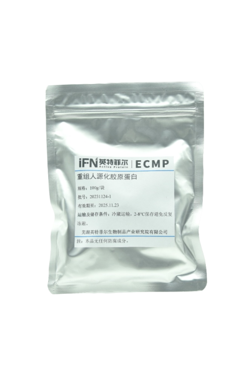 Recombinant Humanized Collagen Protein (Powder)